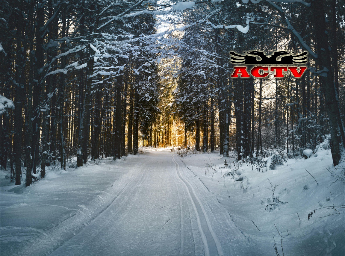 Bie bora e parë e sezonit në Michigan  udhëtarët paralajmërohen për kushtet rrugore