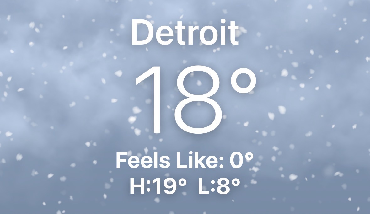 Emergjencat e Borës në Michigan  Stuhi e Fortë  Borë e Dendur dhe Ftohje Ekstreme në Rrethinat e Detroitit