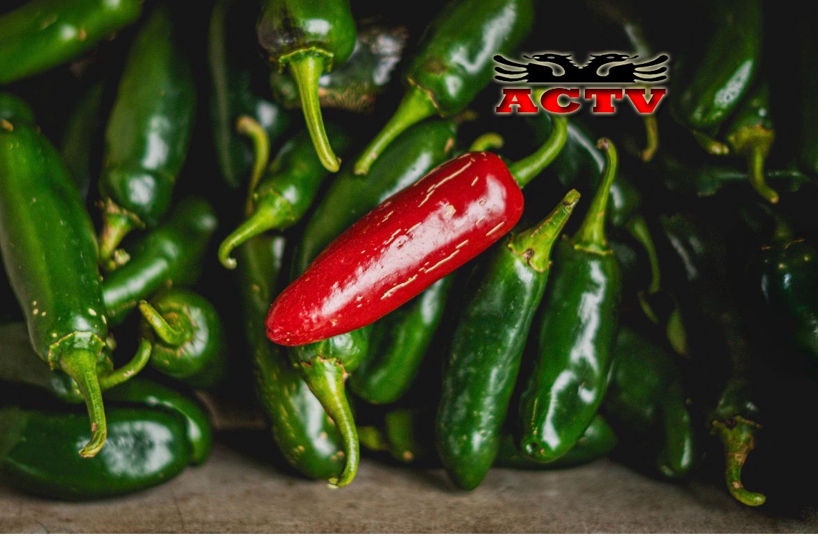 terheqje-urgjente-e-produkteve-me-jalapeño-michigan-mes-26-shteteve-te-prekura-nga-rreziku-i-salmonella-s