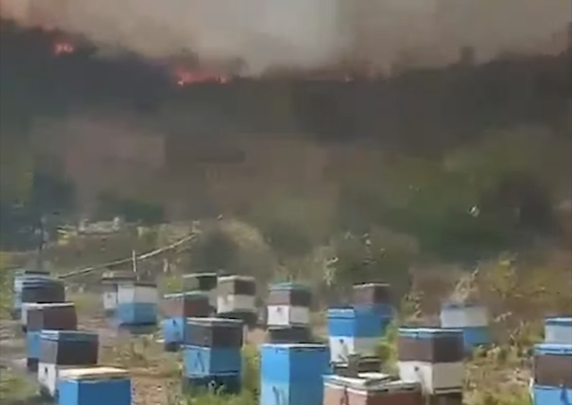 Zjarri në Finiq del jashtë kontrollit  flakët avancojnë drejt Delvinës   rrezikohen banesat në dy fshatra