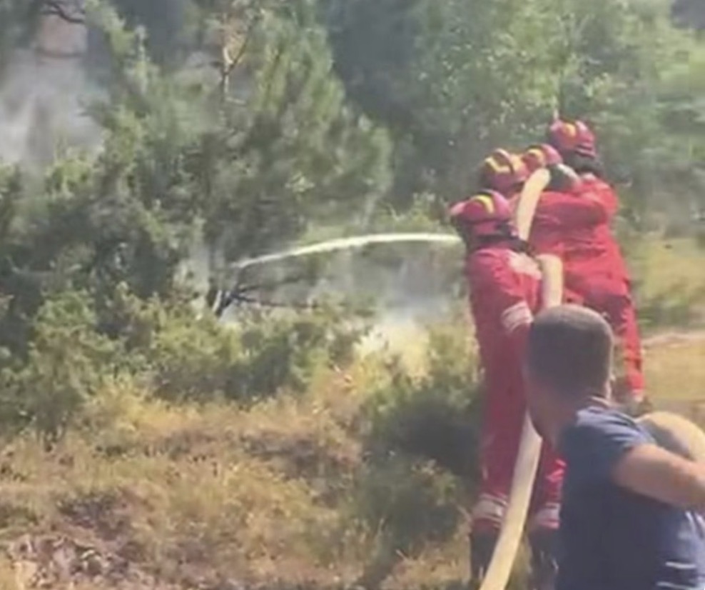 Forcat e Armatosura vijojnë betejën me zjarret në Dajt  Bulqizë dhe Lurë
